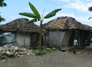 Caye, Les Roseaux…