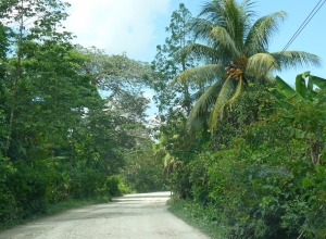 Chemins de Jérémie