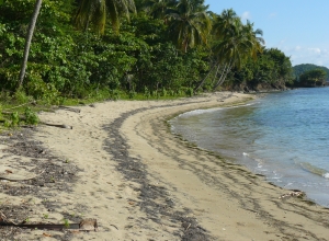 Domaine de Mickline, sa plage...