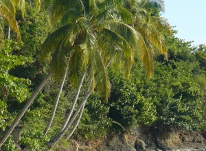 Domaine de Mickline, sa plage...