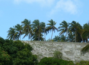 Ile à Vache