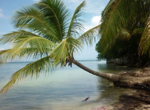 Plage Ile à Vache