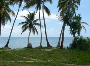 Plage de la Grand'Anse