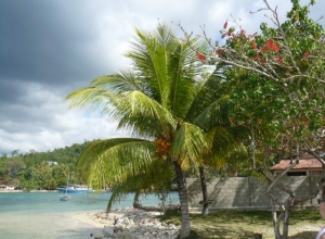 Plage des Abricots