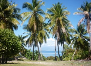 Plage des Roseaux