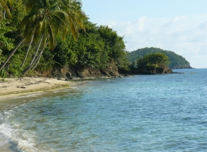 Plage privée du domaine de Mickline…