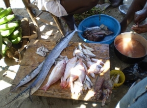 Poissons des plages de la Grand'Anse...