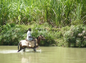 Traverser la Grand'Anse