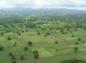 Vue des alentours de la ville des Cayes